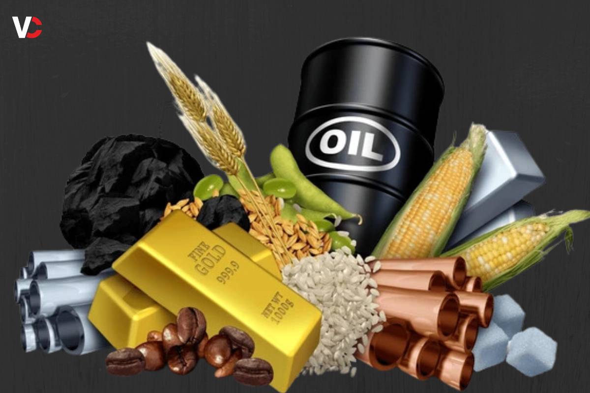 Top 7 Types of Commodities | Visionary CIOs