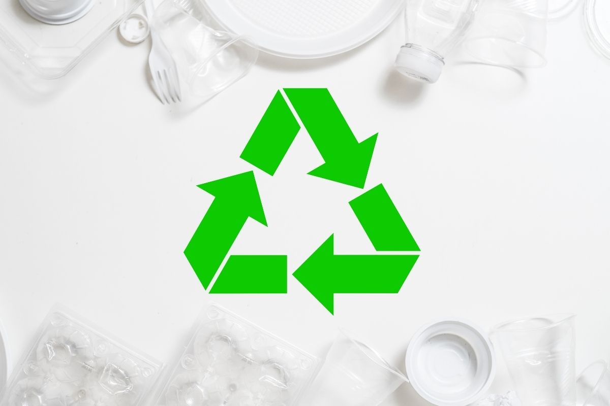 Waste Reduction Techniques: Embracing Sustainable Living | Visionary CIOs