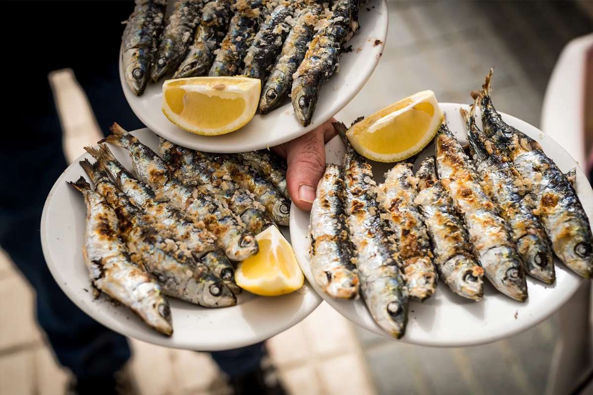 Why Sardines Deserve a Spot on Your Plate: The Potential Benefits of Eating Sardines?