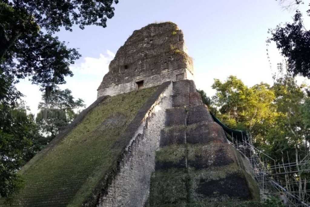 Most Recent Archaeological Discoveries Reveal About the Past | Visionary CIOs