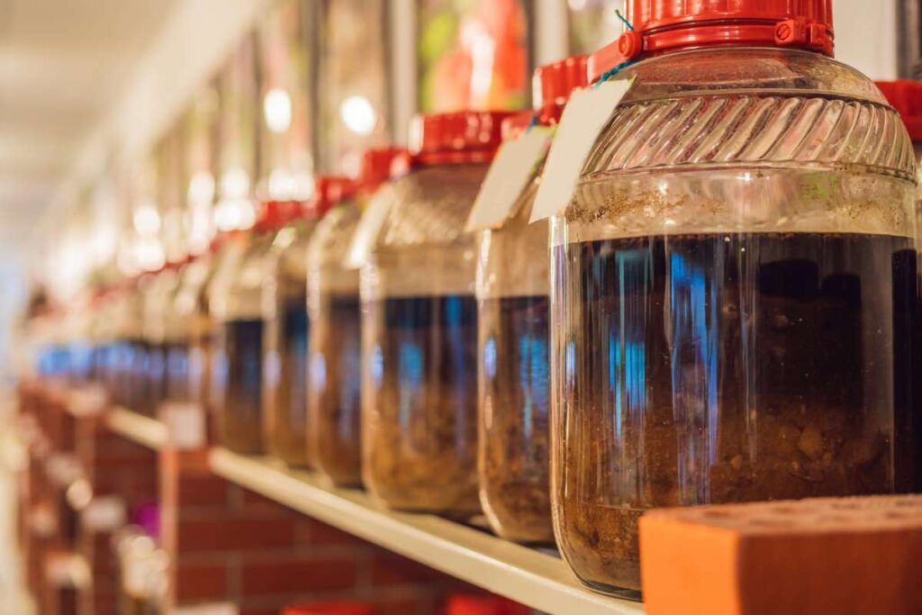 30 Probiotics Drinks That Could Transform Your Gut Health