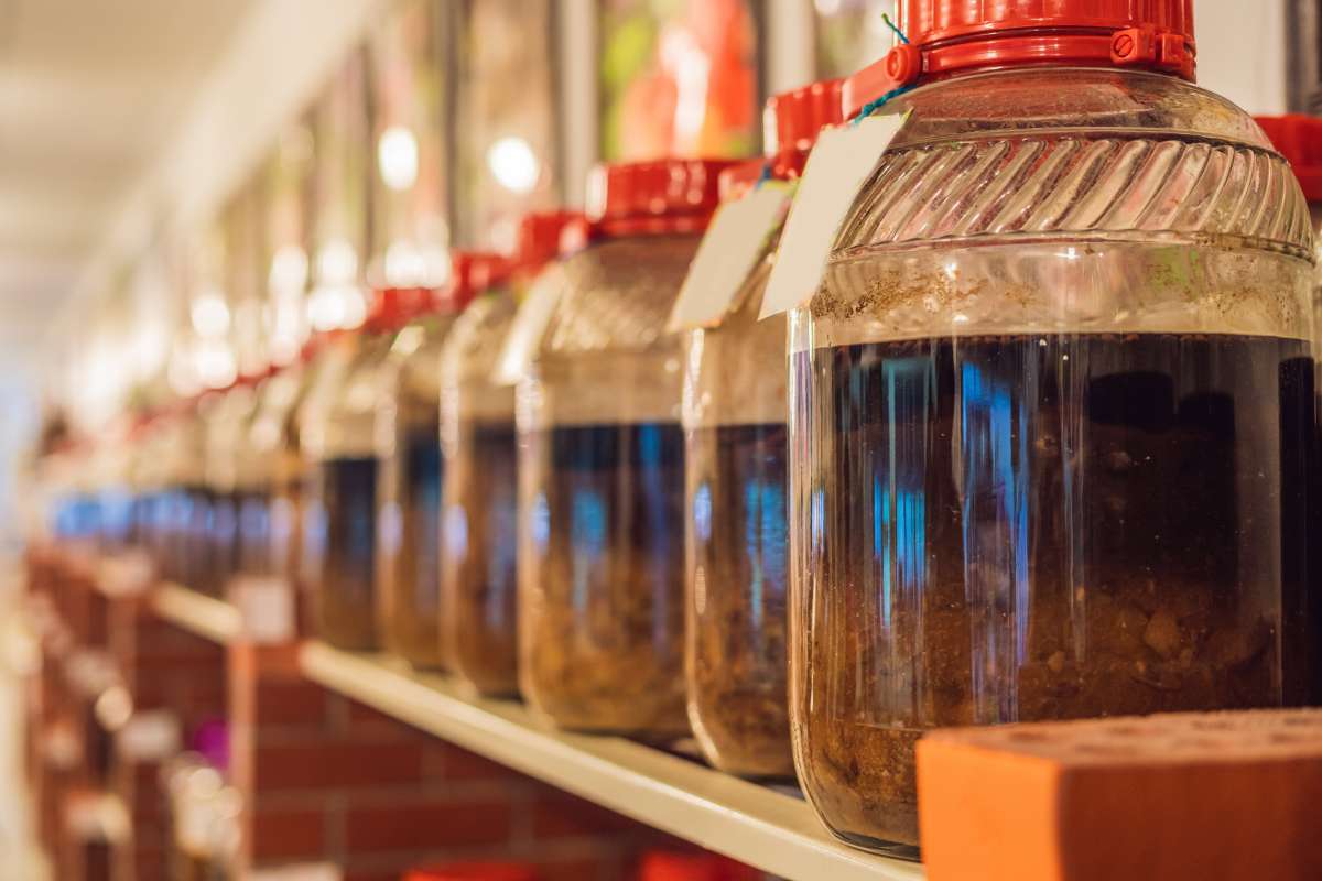 30 Probiotics Drinks That Could Transform Your Gut Health