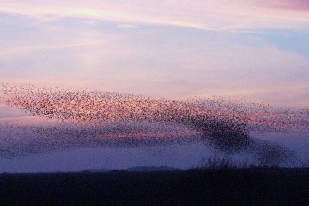 Top 50 Magical Natural Phenomena in the World | Visionary CIOs