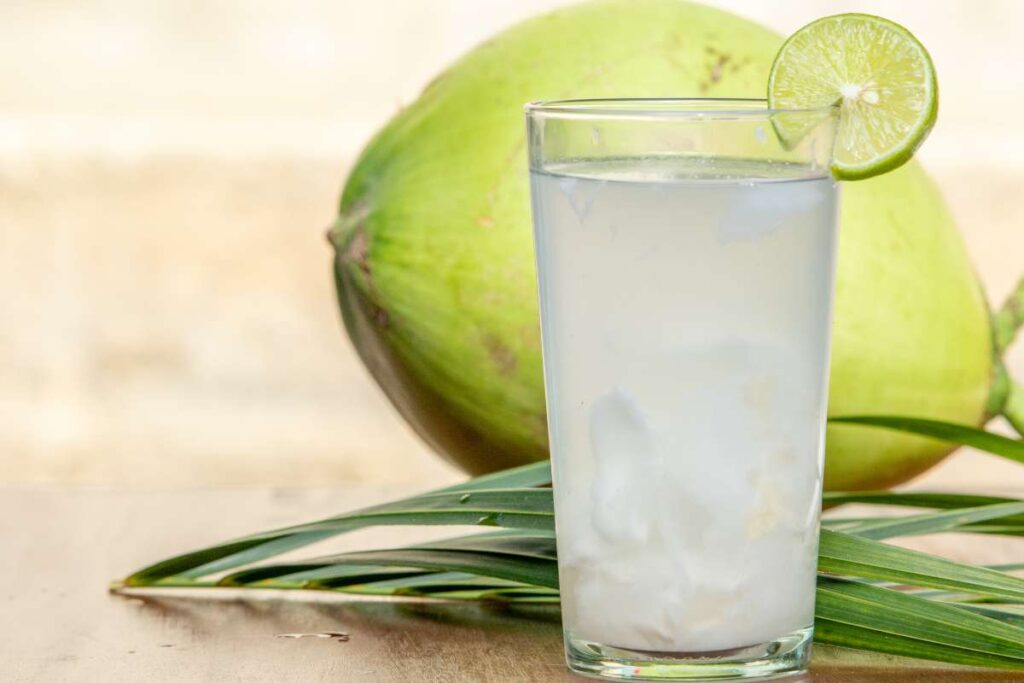 Top 30 Probiotics Drinks to boost Your Gut Health | Visionary CIOs