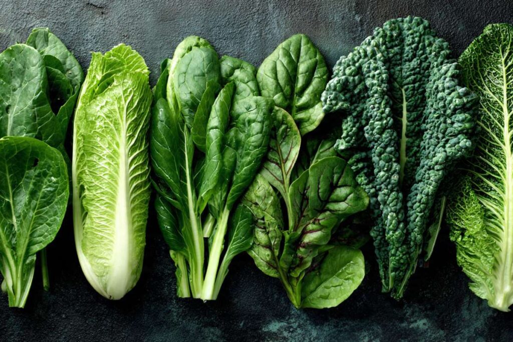 17 Best Foods for Eye Health: Nutrients & Benefits | Visionary CIOs