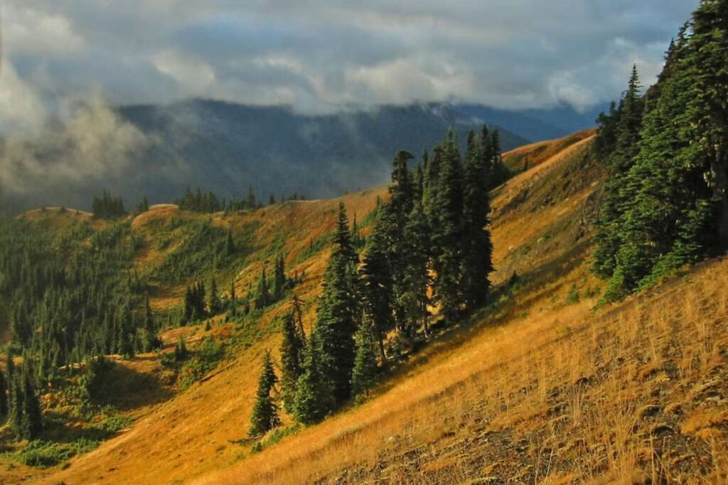 Top 30 Most Beautiful Spots in America | Visionary CIOs