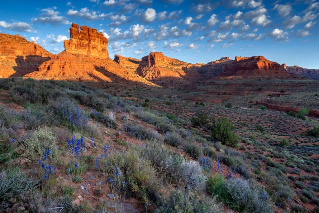 Top 30 Most Beautiful Spots in America | Visionary CIOs