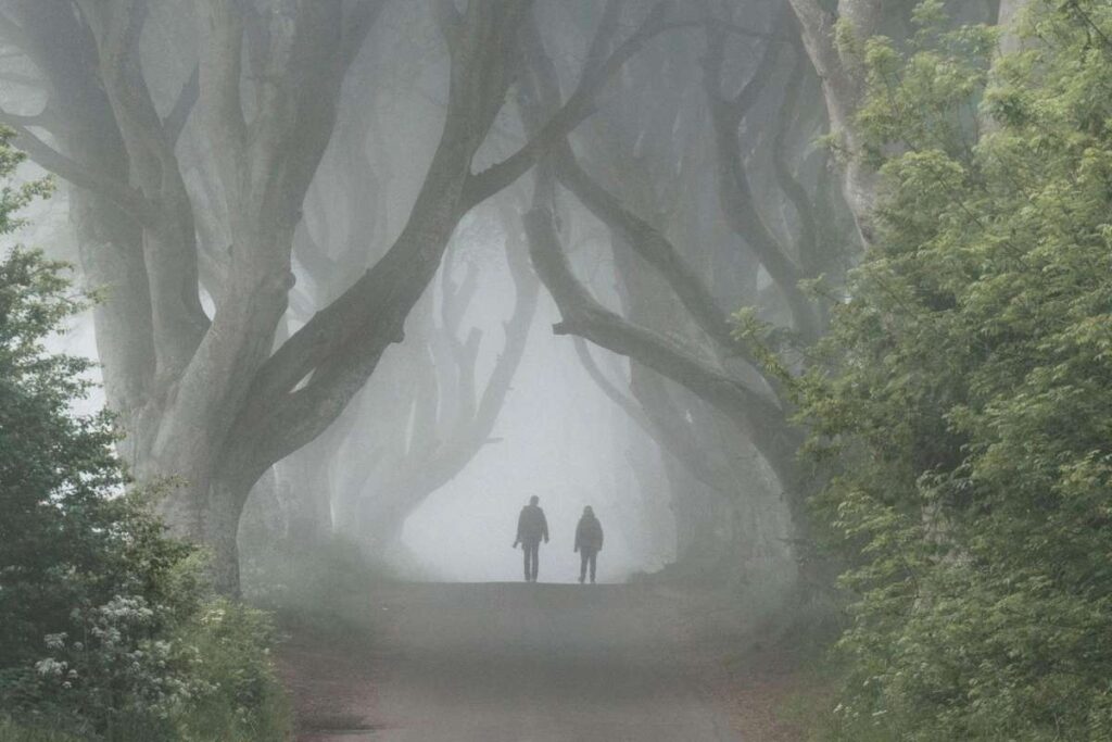 Top 50 Magical Natural Phenomena in the World | Visionary CIOs