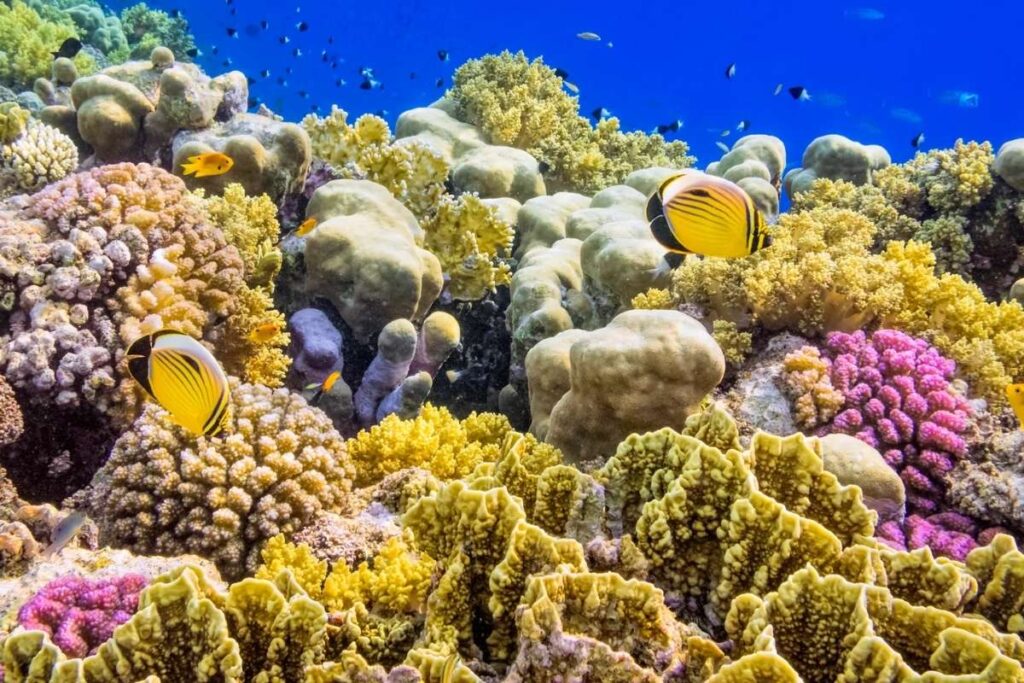 Top 50 Magical Natural Phenomena in the World | Visionary CIOs