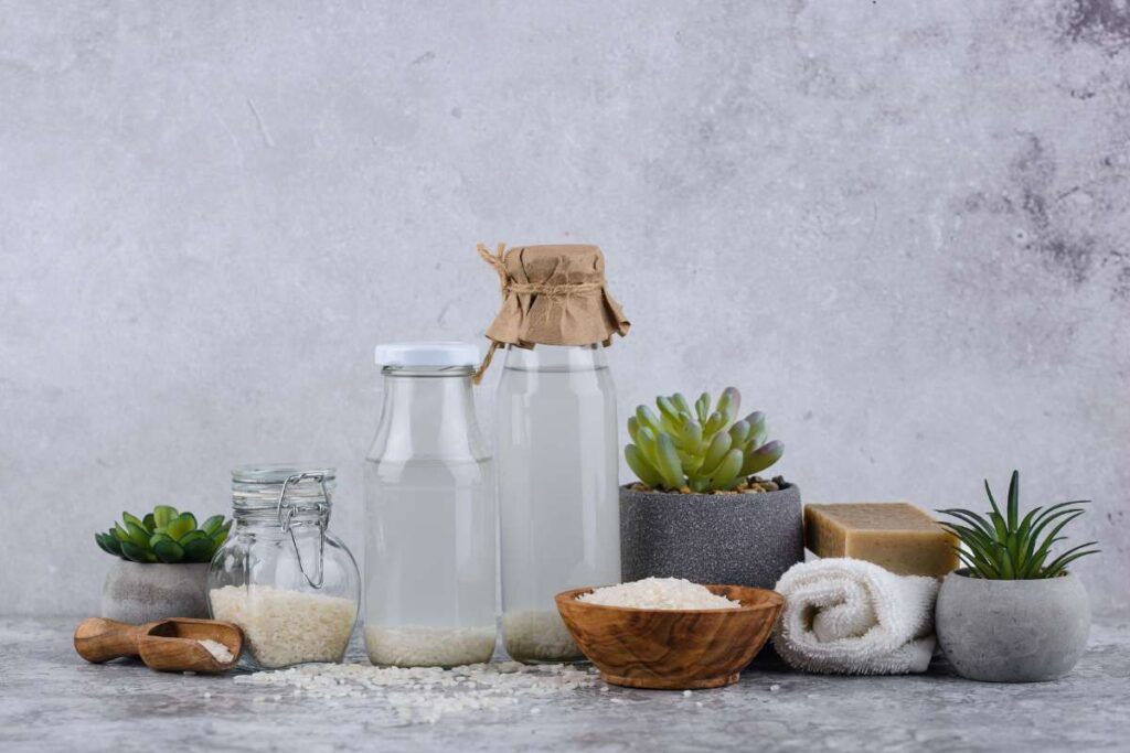 Top 30 Probiotics Drinks to boost Your Gut Health | Visionary CIOs