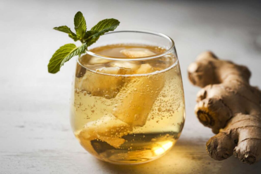 Top 30 Probiotics Drinks to boost Your Gut Health | Visionary CIOs