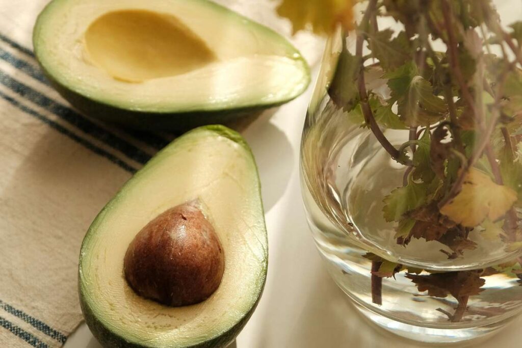 17 Best Foods for Eye Health: Nutrients & Benefits | Visionary CIOs