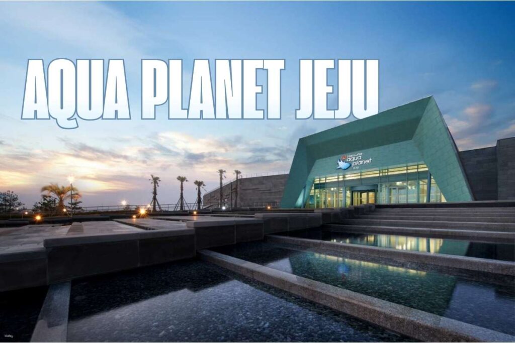 Deep Sea Giants: Top 15 Biggest Aquariums in the World | Visionary CIOs