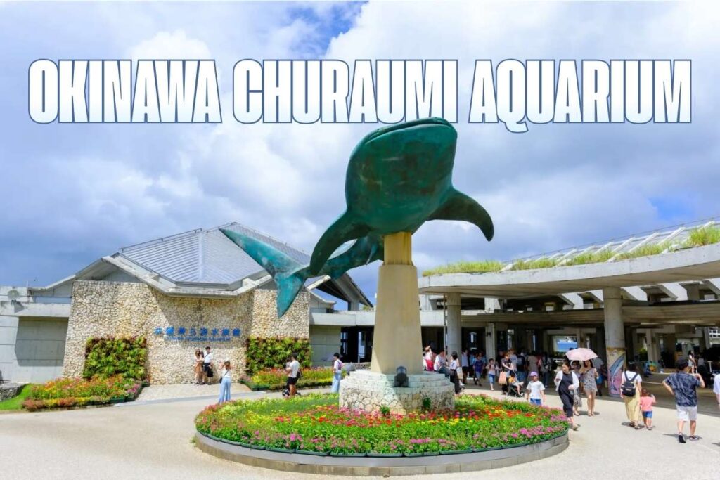 Deep Sea Giants: Top 15 Biggest Aquariums in the World | Visionary CIOs