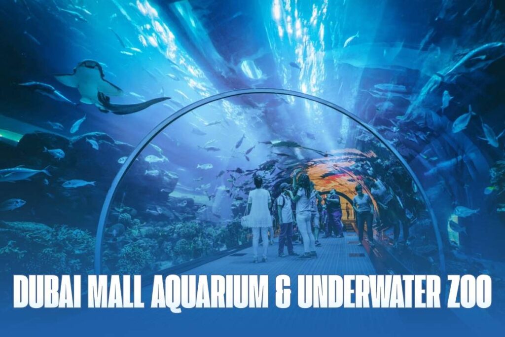 Deep Sea Giants: Top 15 Biggest Aquariums in the World | Visionary CIOs
