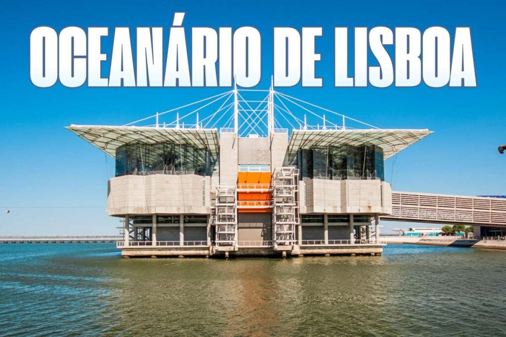 Deep Sea Giants: Top 15 Biggest Aquariums in the World | Visionary CIOs