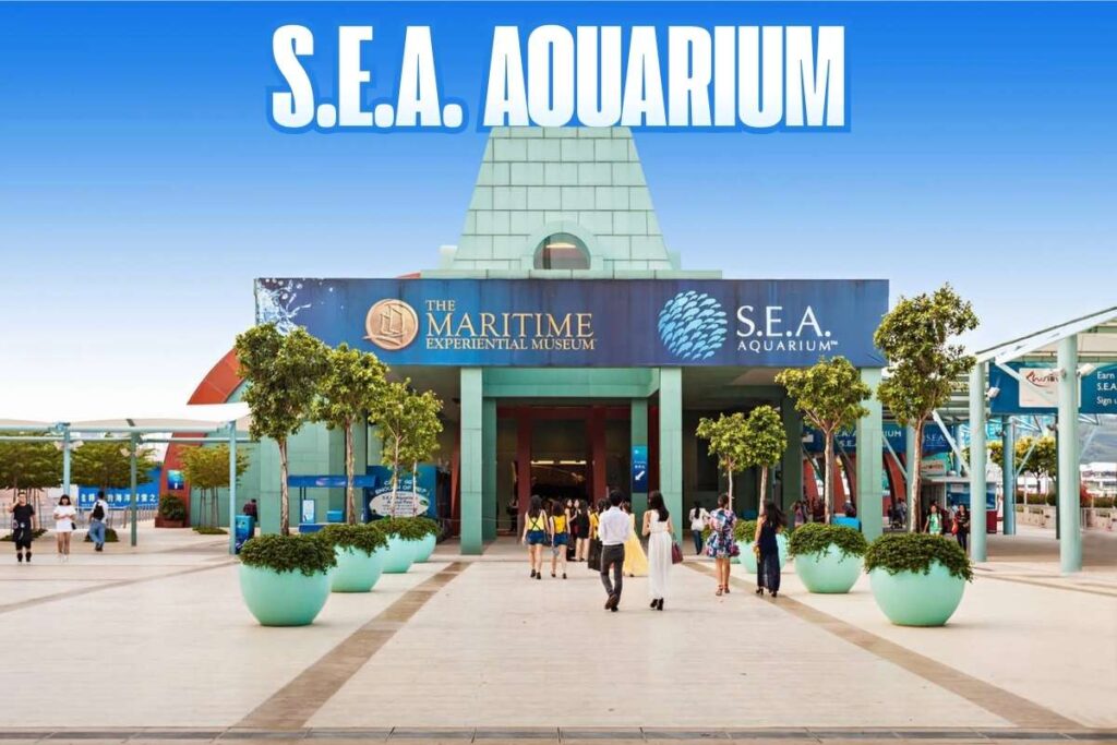 Deep Sea Giants: Top 15 Biggest Aquariums in the World | Visionary CIOs