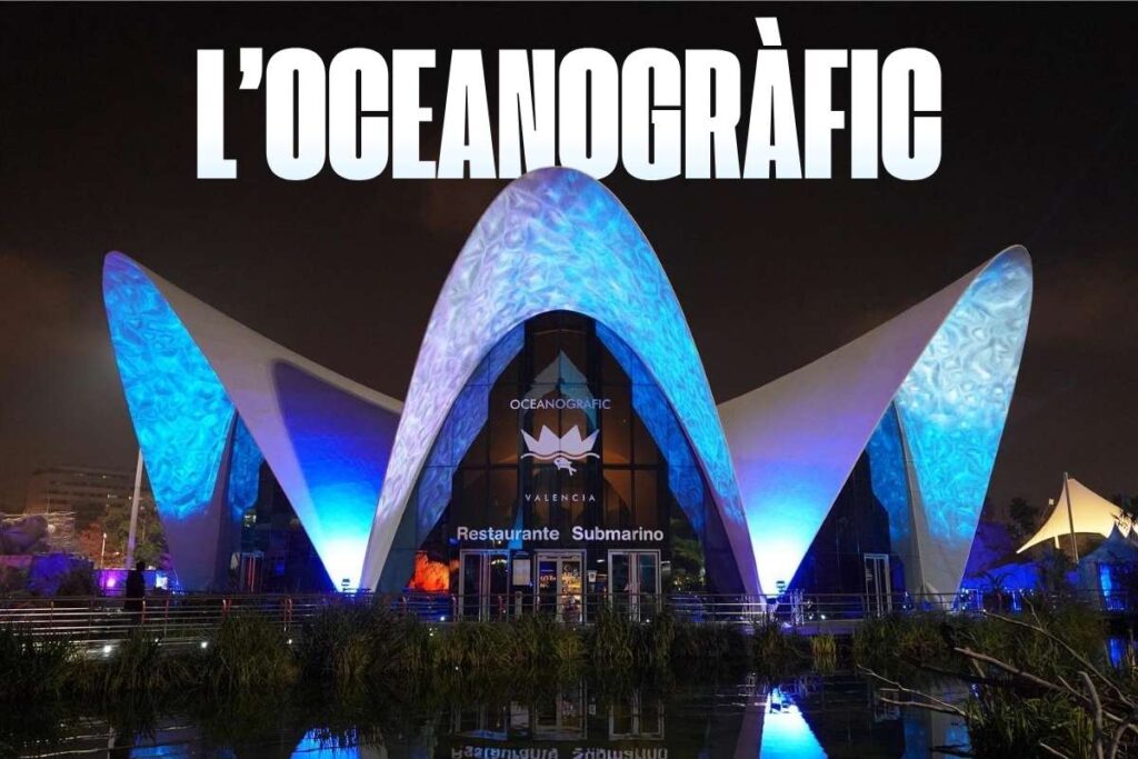 Deep Sea Giants: Top 15 Biggest Aquariums in the World | Visionary CIOs