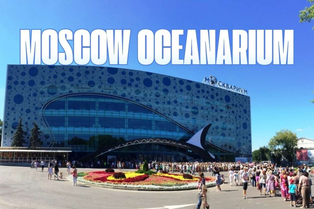 Deep Sea Giants: Top 15 Biggest Aquariums in the World | Visionary CIOs